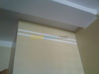 مستغانم-ستيدية-الجزائر-خدمات-peinture-décoration
