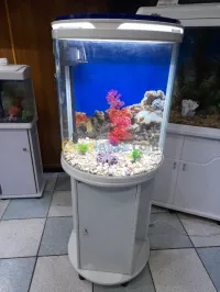 AQUARIUM CAMRY DEMI SERCLE R500