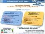 FORMATION A L'INSERTION PROFESSIONNEL 