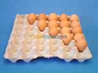 بجاية-تازمالت-الجزائر-خدمات-emballages-alimentaires