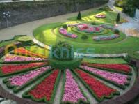 oran-algeria-services-jardinage