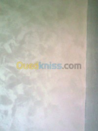 الجزائر-وسط-خدمات-peinture