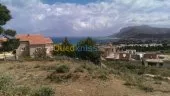 Vente Terrain Chlef Tenes