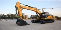 LiuGong CLG942EHD PELLE 2025
