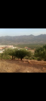 terrain-vente-bejaia-akbou-algerie