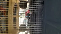Renault Kangoo Be Bop 2017 Kangoo Be Bop