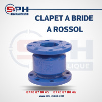 industrie-fabrication-clapet-a-bride-rossol-dar-el-beida-alger-algerie