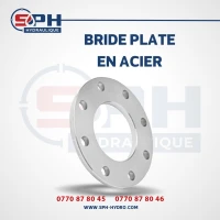BRIDE EN ACIER