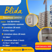 appartement-vente-f3-blida-soumaa-algerie