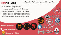 reparation-auto-diagnostic-scanner-et-a-domicileverification-de-kilometrage-reel-bougara-blida-algerie