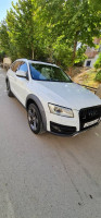 voitures-audi-q5-2014-off-road-constantine-algerie