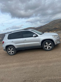 voitures-volkswagen-tiguan-2011-ferdjioua-mila-algerie