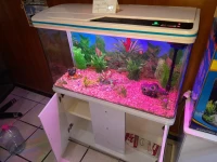 AQUARIUM DIGITAL  1M  RS1000EF