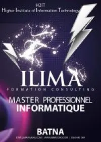 Diplôme de master professionnel