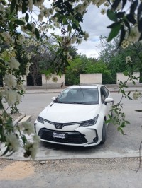 سيارات-toyota-corolla-2026-tout-options-فرجيوة-ميلة-الجزائر