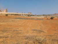 أرض-فلاحية-بيع-عين-تيموشنت-بني-صاف-الجزائر