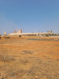 أرض-فلاحية-بيع-عين-تيموشنت-بني-صاف-الجزائر