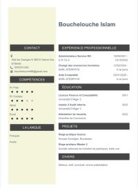 comptabilite-audit-charge-des-ressources-humaines-comptable-aide-financier-dar-el-beida-alger-algerie