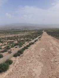 أرض-بيع-باتنة-الجزائر