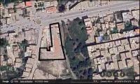 Vente Terrain Blida Ouled selama