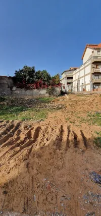 Vente Terrain El Tarf El kala