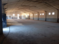 hangar-location-boumerdes-bouzegza-keddara-algerie