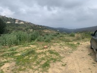 land-sell-tizi-ouzou-azeffoun-algeria