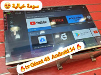 televiseurs-promotion-tv-geant-43-pouce-android-14-souma-hbaall-ain-naadja-alger-algerie