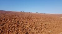 terrain-agricole-vente-ain-temouchent-bou-zedjar-algerie