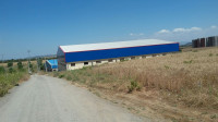 hangar-location-bouira-algerie