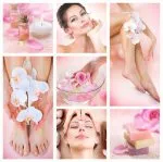 soins de beautés pour instituts 