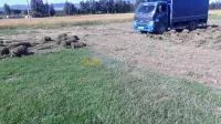 jardinage 