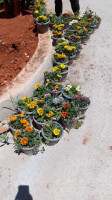 gardening-decoration-de-jardin-beni-mered-chebli-blida-algeria