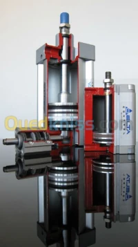 vérin pneumatique fab. DELTA CONTROL