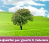 les études concernant l'environnement 