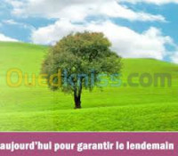 batna-algerie-services-les-études-concernant-l-environnement