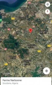 Vente Terrain Alger Souidania