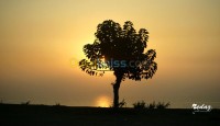 الجزائر-جسر-قسنطينة-فعاليات-و-ترفيه-photographe-cameramen-homme