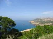 Vente Terrain Tlemcen Honaine