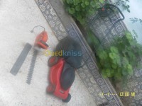 sidi-bel-abbes-algerie-services-hamdoun-jardinal
