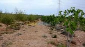 Vente Terrain Biskra Chetma
