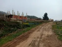 Vente Terrain Blida Meftah