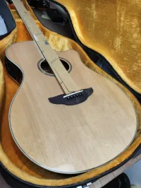 Guitare électrique et acoustique et classique 