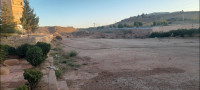 usine-vente-terrain-saida-algerie