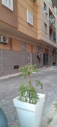 appartement-vente-f3-alger-bordj-el-kiffan-algerie