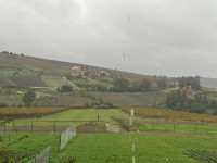 terrain-location-boumerdes-chabet-el-ameur-algerie