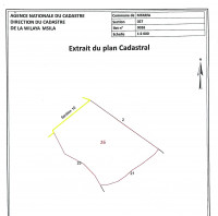 terrain-vente-msila-mtarfa-algerie