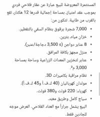 آخر-بيع-عقار-سيدي-بلعباس-الجزائر