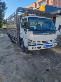 camion-isuzu-npr-2008-ferdjioua-mila-algerie