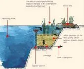 piscines